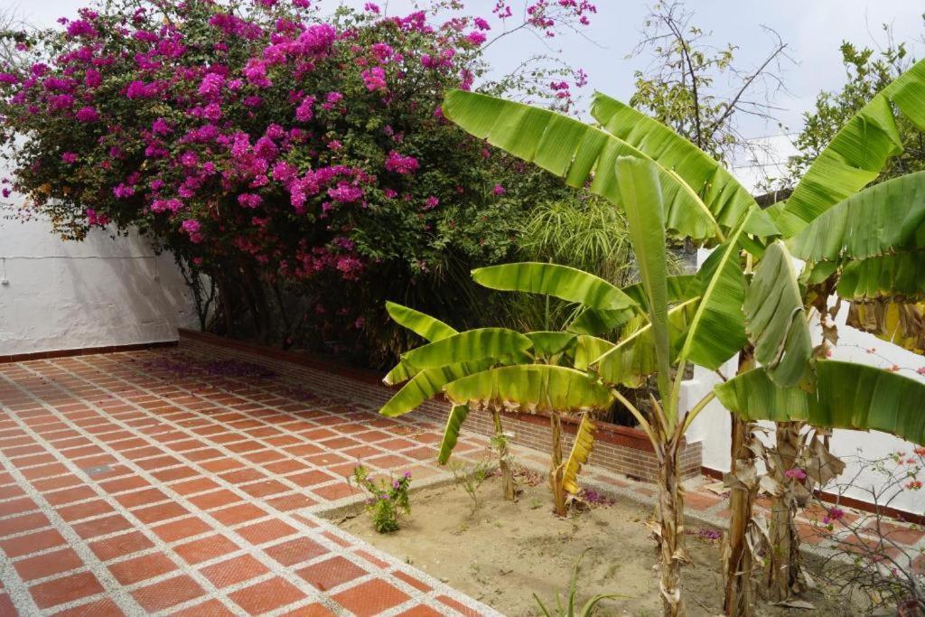 Hotel Mar Di Plata บาร์รังกีญา ภายนอก รูปภาพ